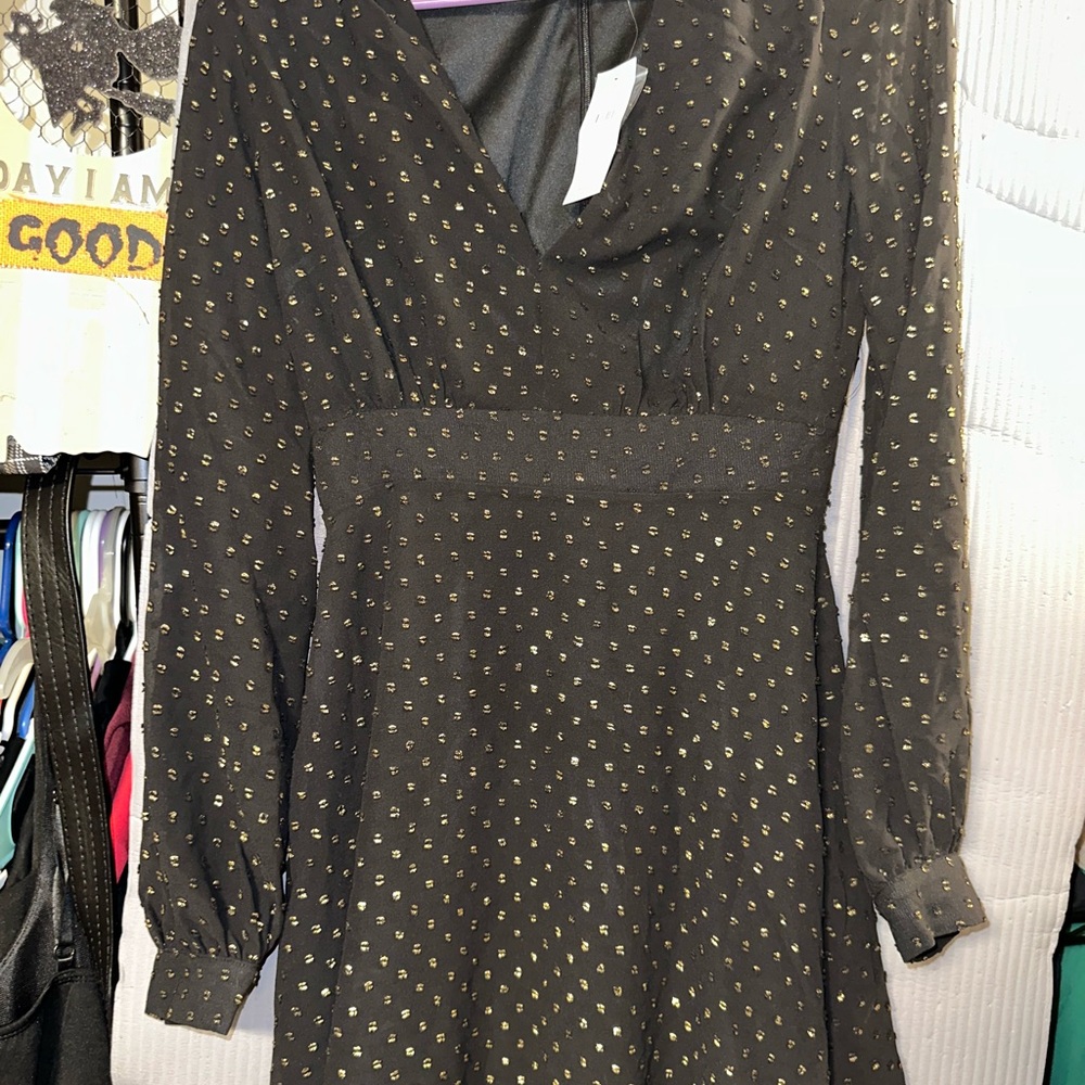 American Eagle Outfitters Black Fit and Flare Dress with Bishop Sleeves